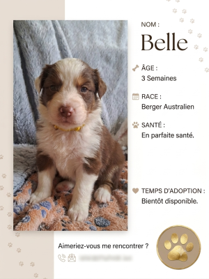 Belle