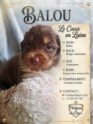 Baloo